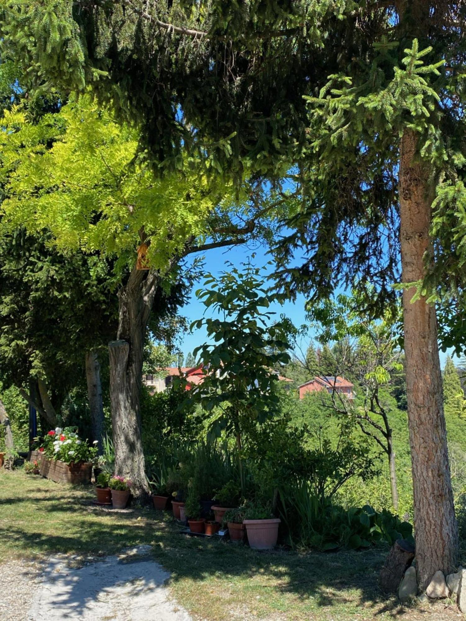 Moncrivel Rooms & Relax Benevello Kültér fotó